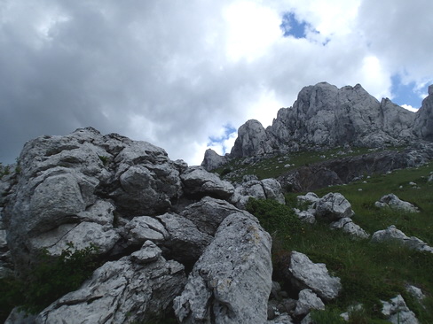 P6070538_Bildgröße ändern P6070538_Bildgröße ändern